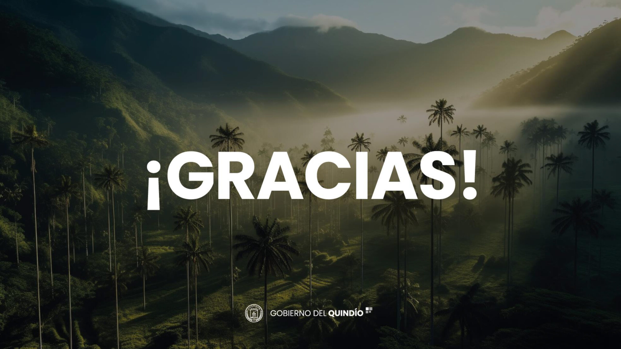 Informe_Página_16